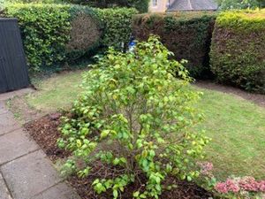 GARDEN 2- click for photo gallery